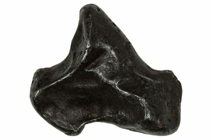 Fusion Crusted Sikhote-Alin Iron Meteorite ( g) - Russia #334557